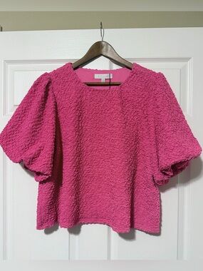 NEW- Sugarlips Popcorn Puff Short Sleeve Top (lined). 2X